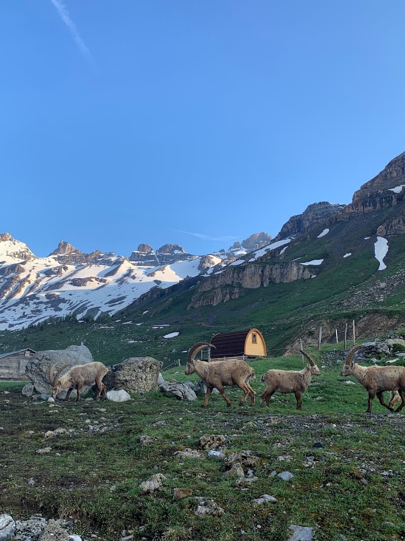 Auberge de Salanfe 4