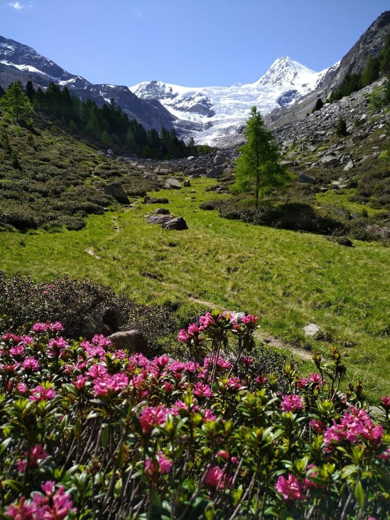 Bordierhütte 4