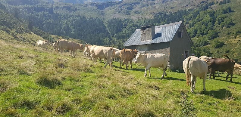 Cabane Anè Labeilla