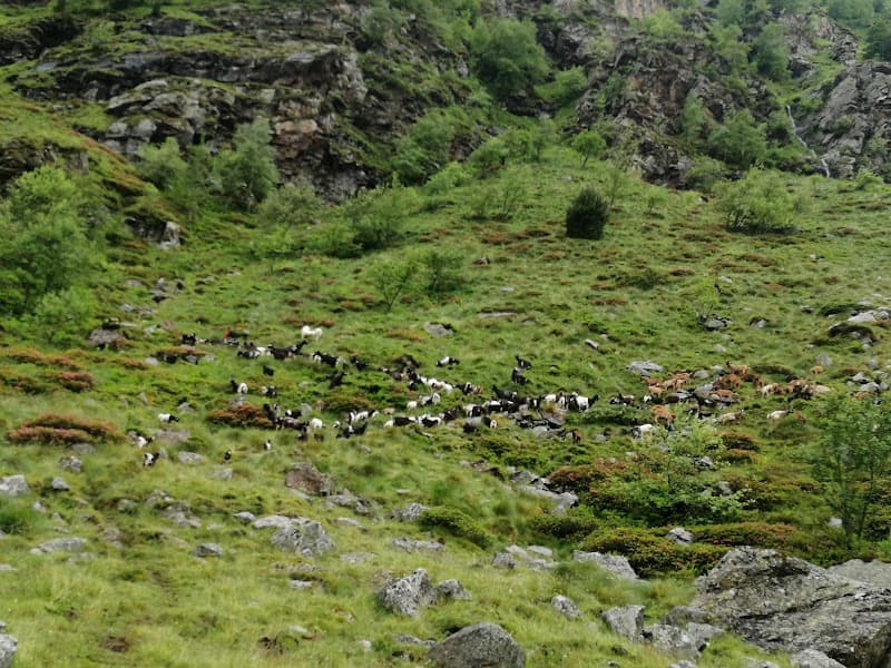 Cabane d'Auruzan