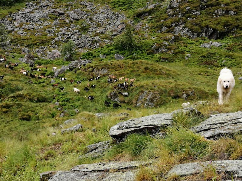 Cabane d'Auruzan 4