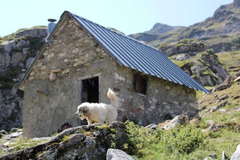 Cabane de Beth