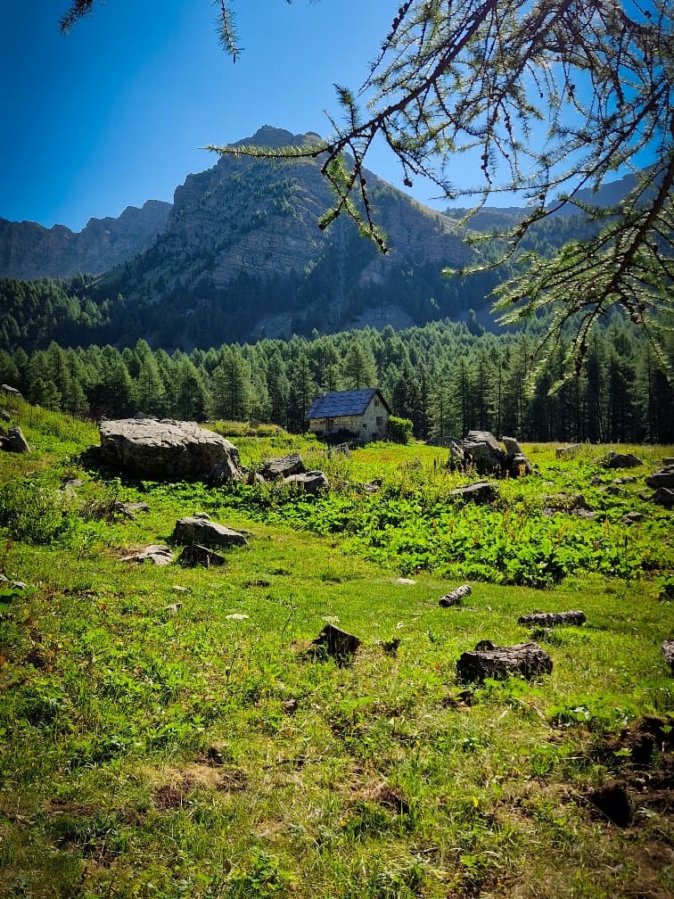 Cabane de sanguiniere