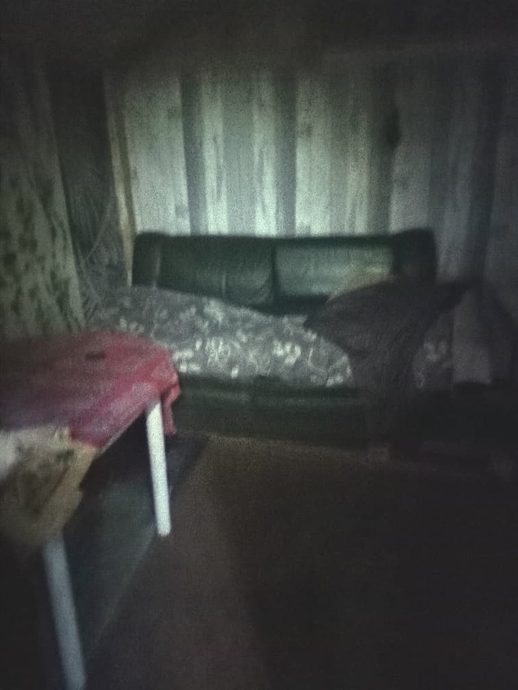 Cabane du chasseur 3