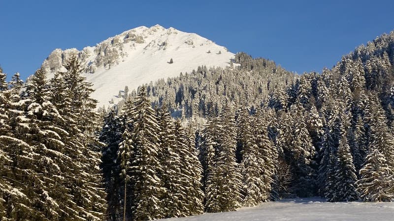 Chalet des Pueys 4