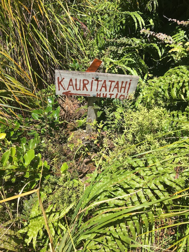 Kauritatahi Hut 4