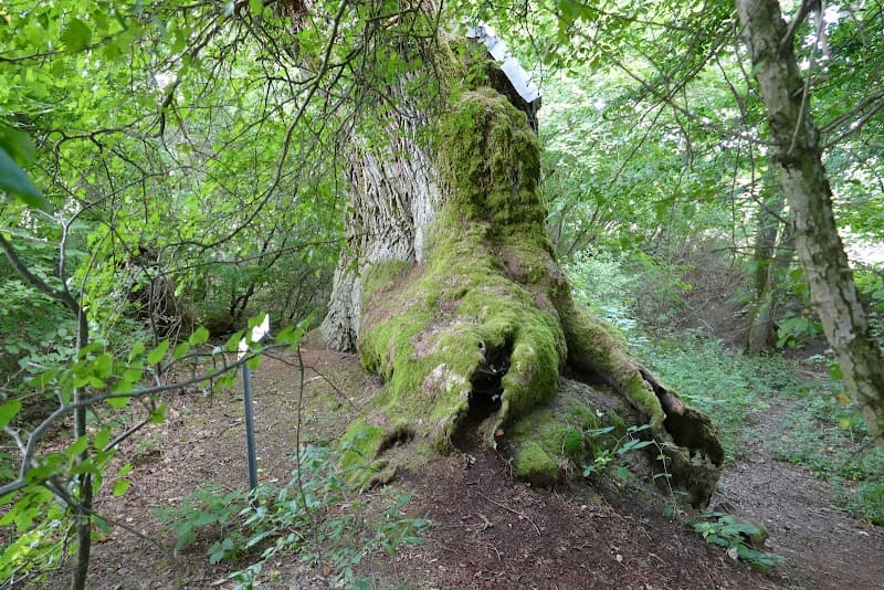 Kilianshütte