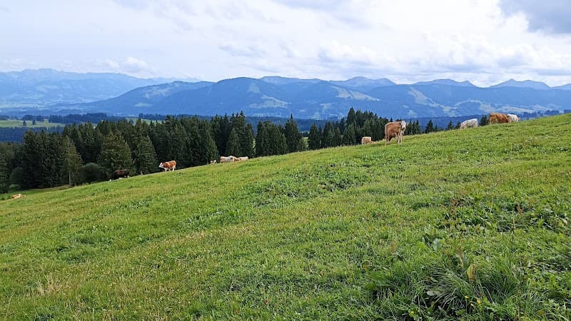 Klinzingshütte 3