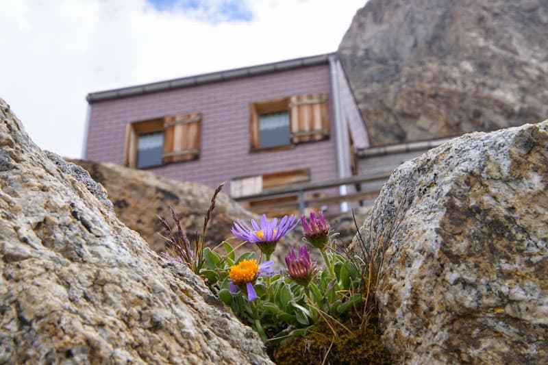 Konkordiahütte 3