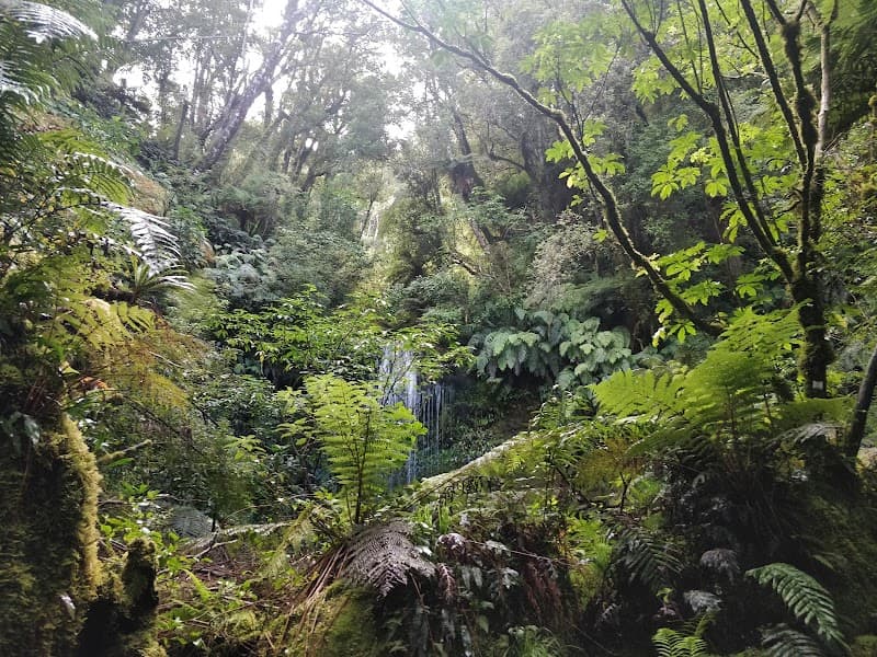 Koropuku Hut 4
