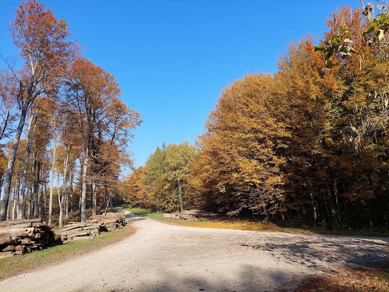 Lugarnica Rajčevica 4