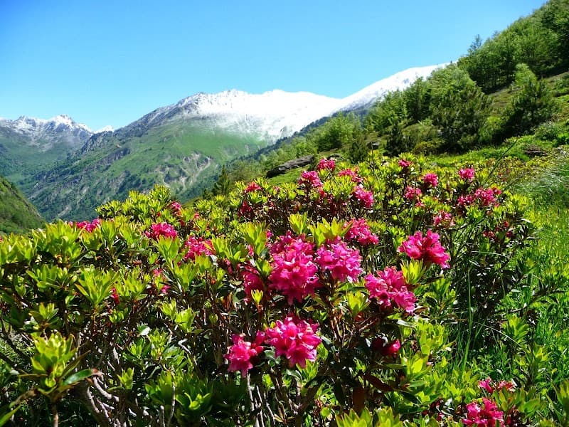 Refuge d 'En Beys 3