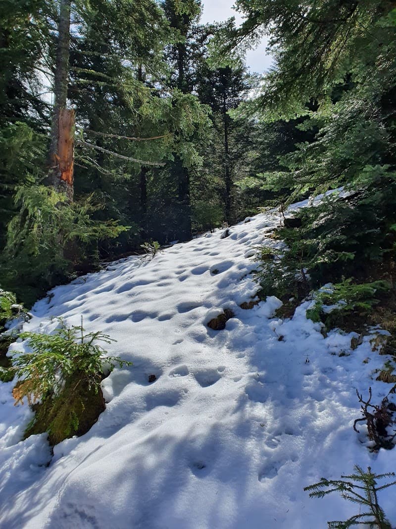 Refuge de Balatg 4