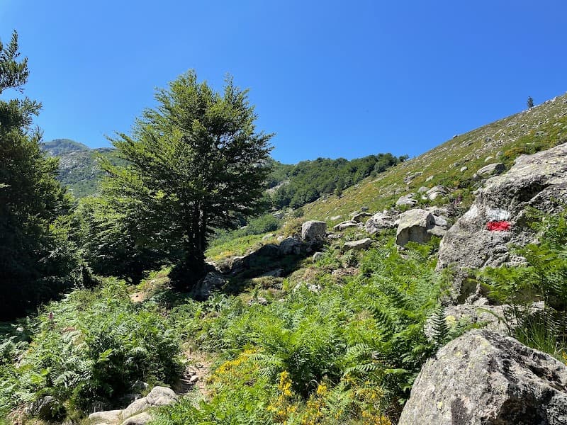 Refuge de l 'Onda 4