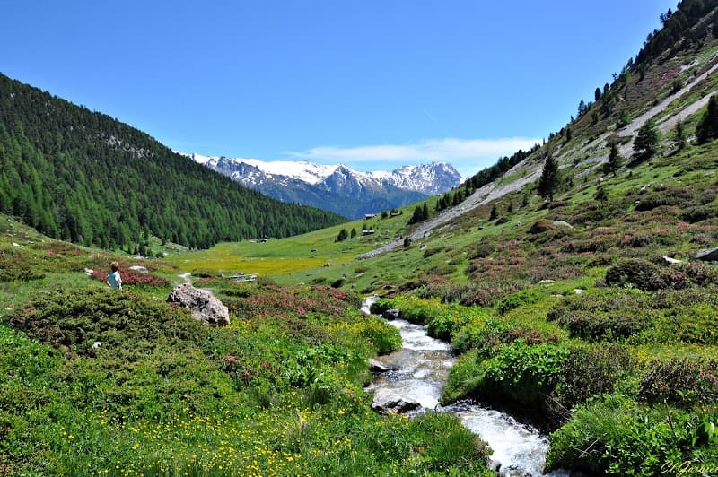 Refuge de l'Orgère 4