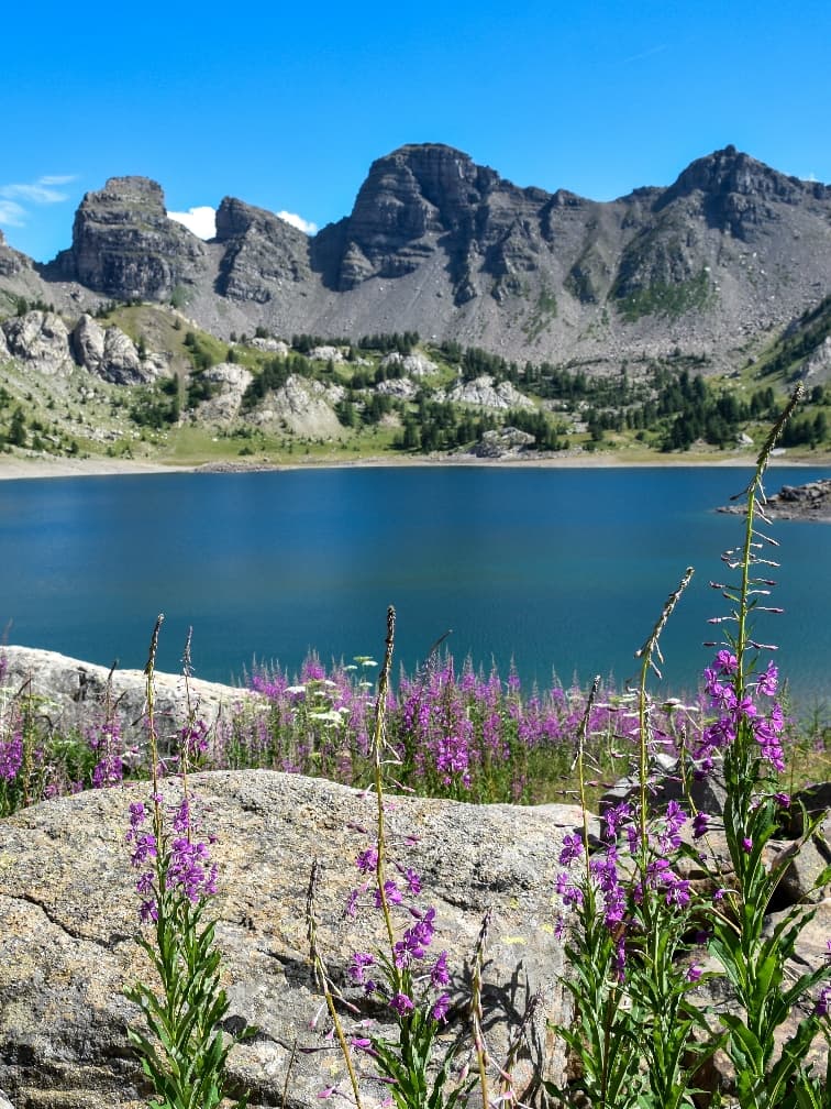 Refuge du Lac d'Allos 3