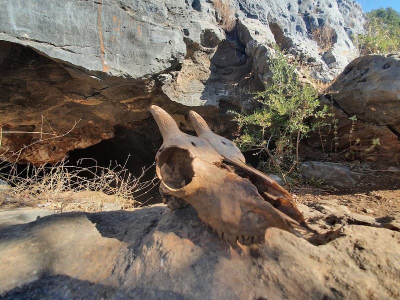 Refugio Cueva Paria 3