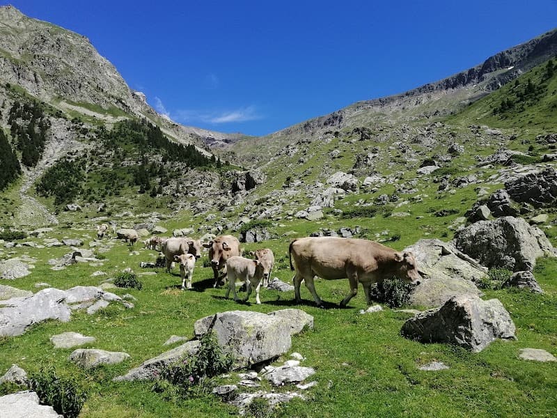Refugio de Barrosa 4