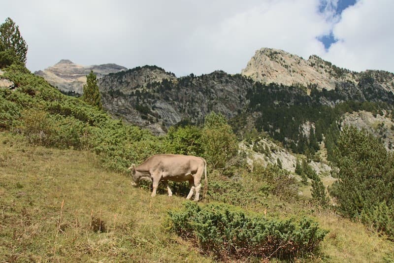 Refugio de Estos 4