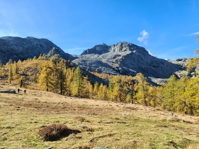 Rifugio Barbustel 4