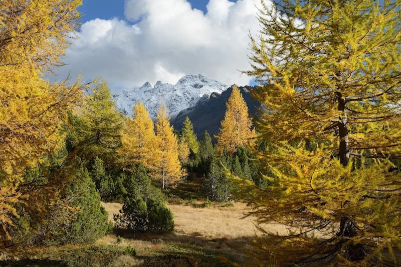 Rifugio Falck 4