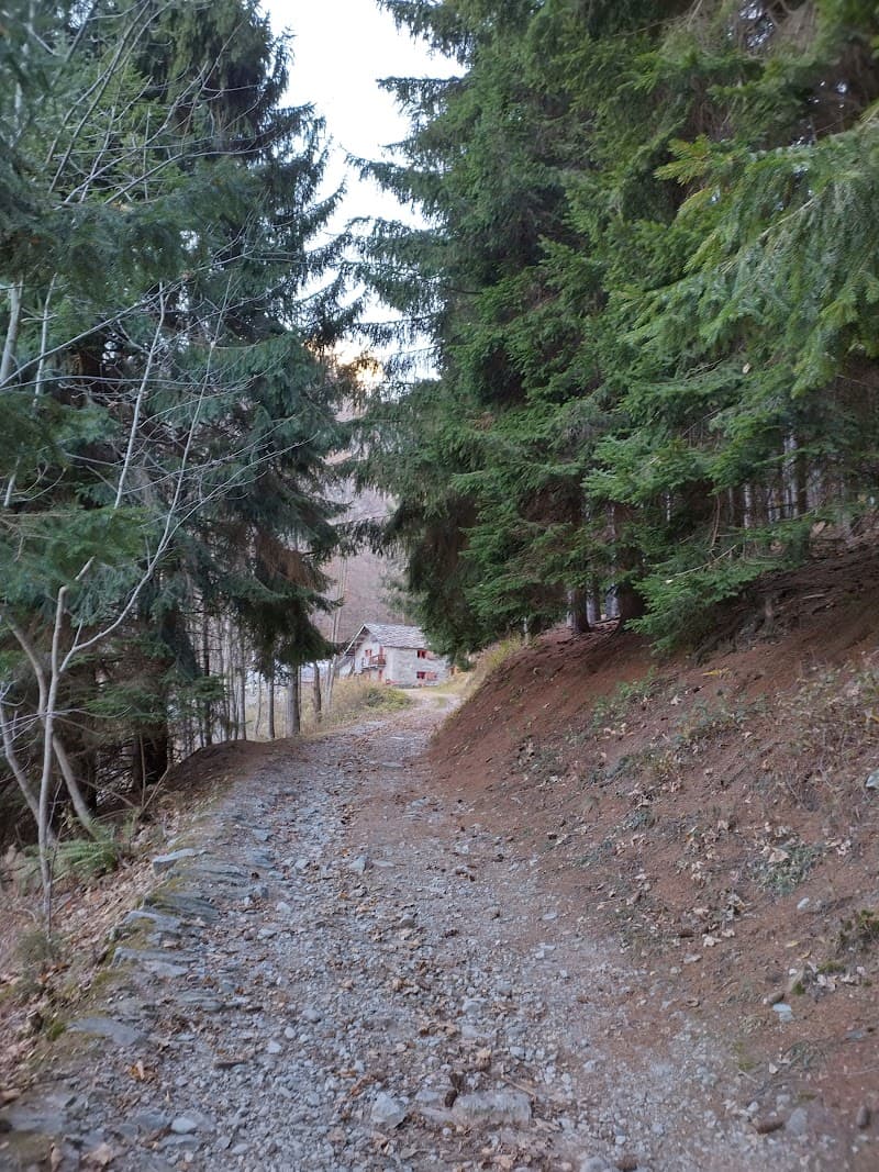 Rifugio Gorello 3