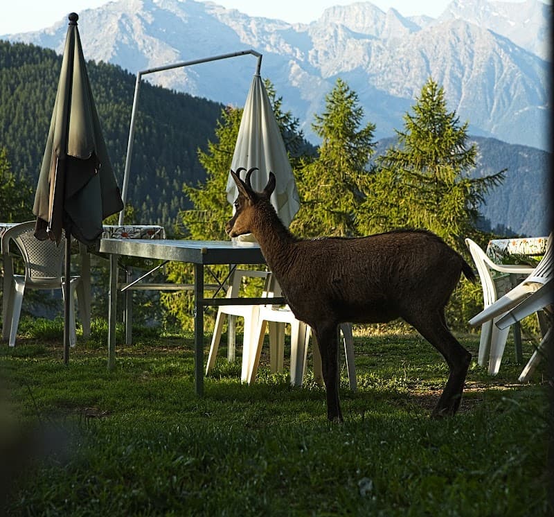 Rifugio L'Ermitage 4
