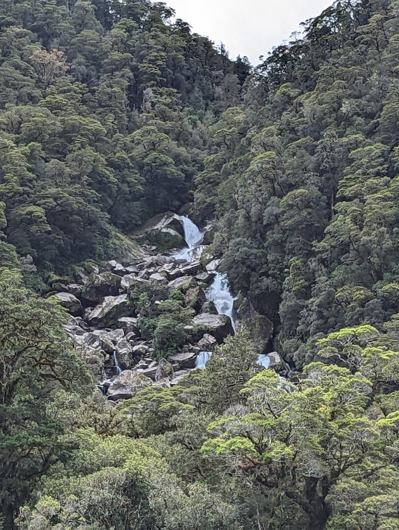 Roaring Billy Hut 3