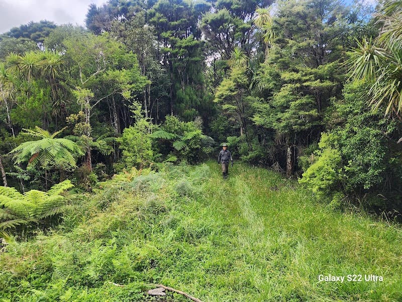 Tangihua Hut 3
