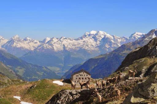 Terrihütte 4