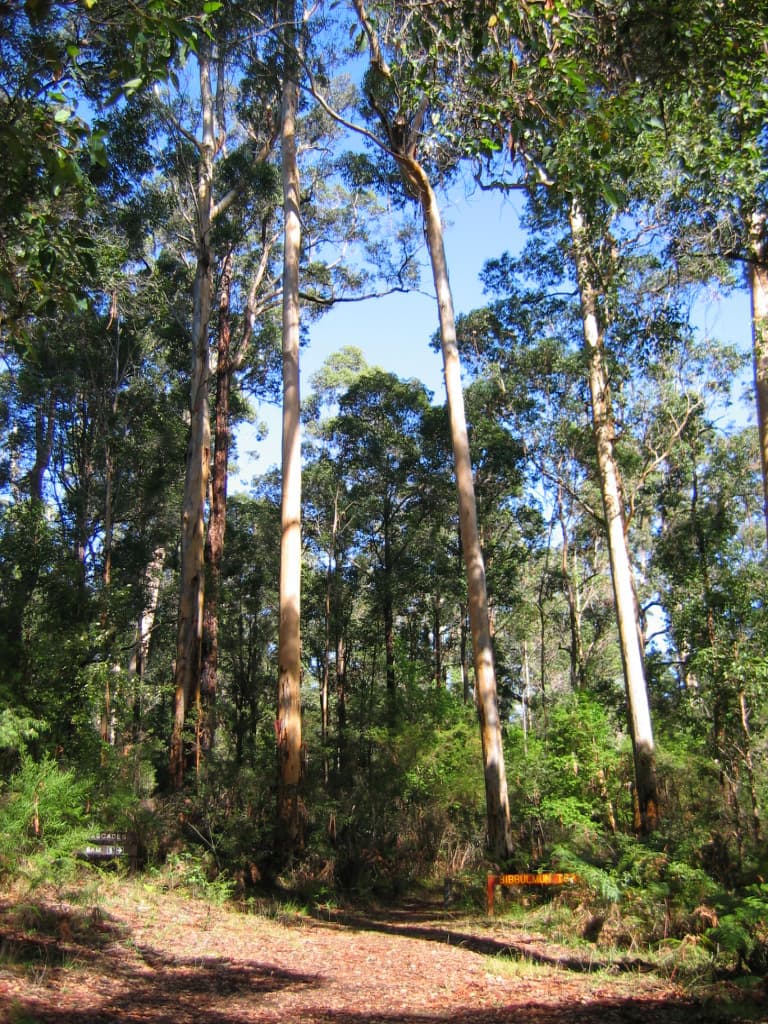 Bibbulmun Track