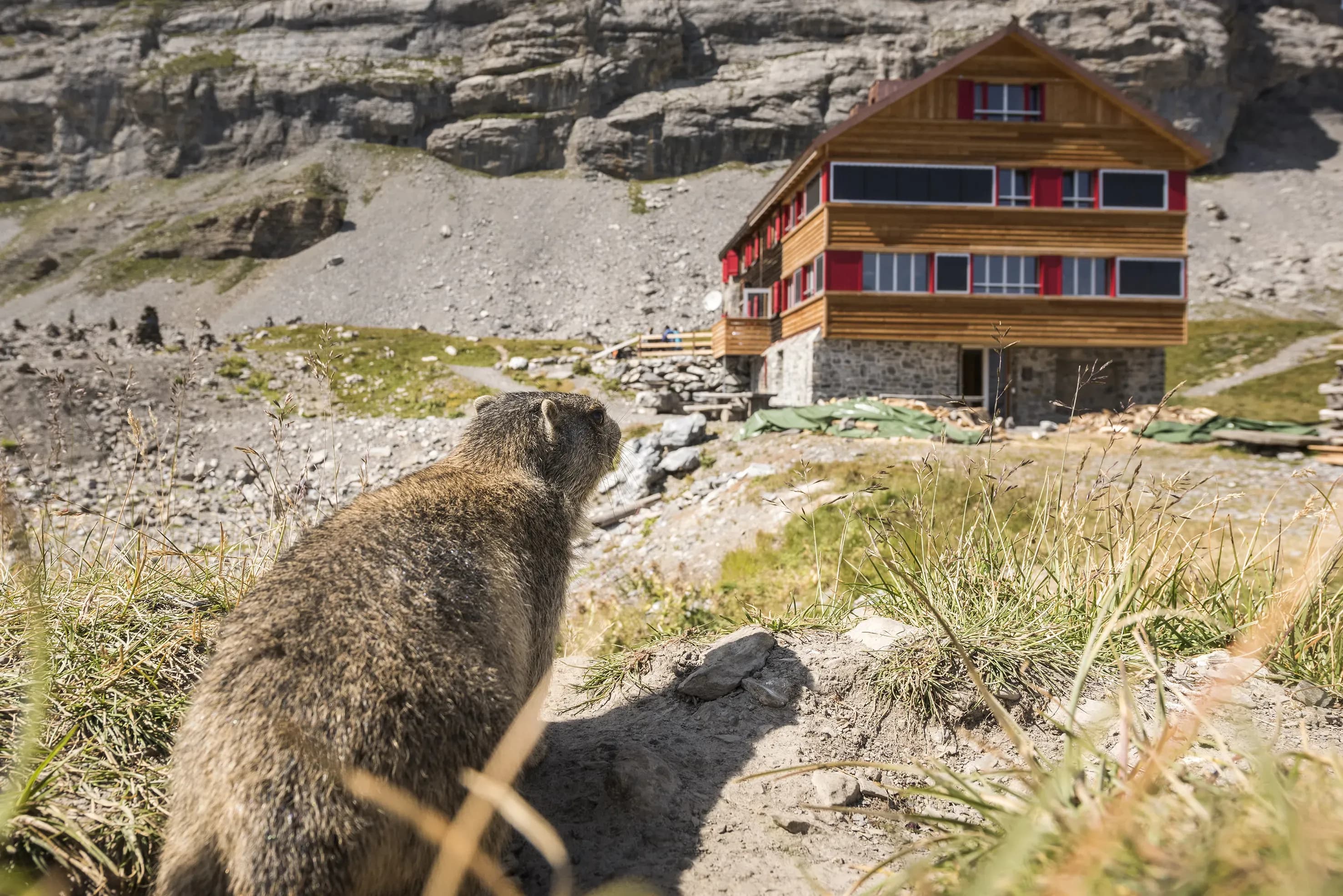 Lämmerenhütte