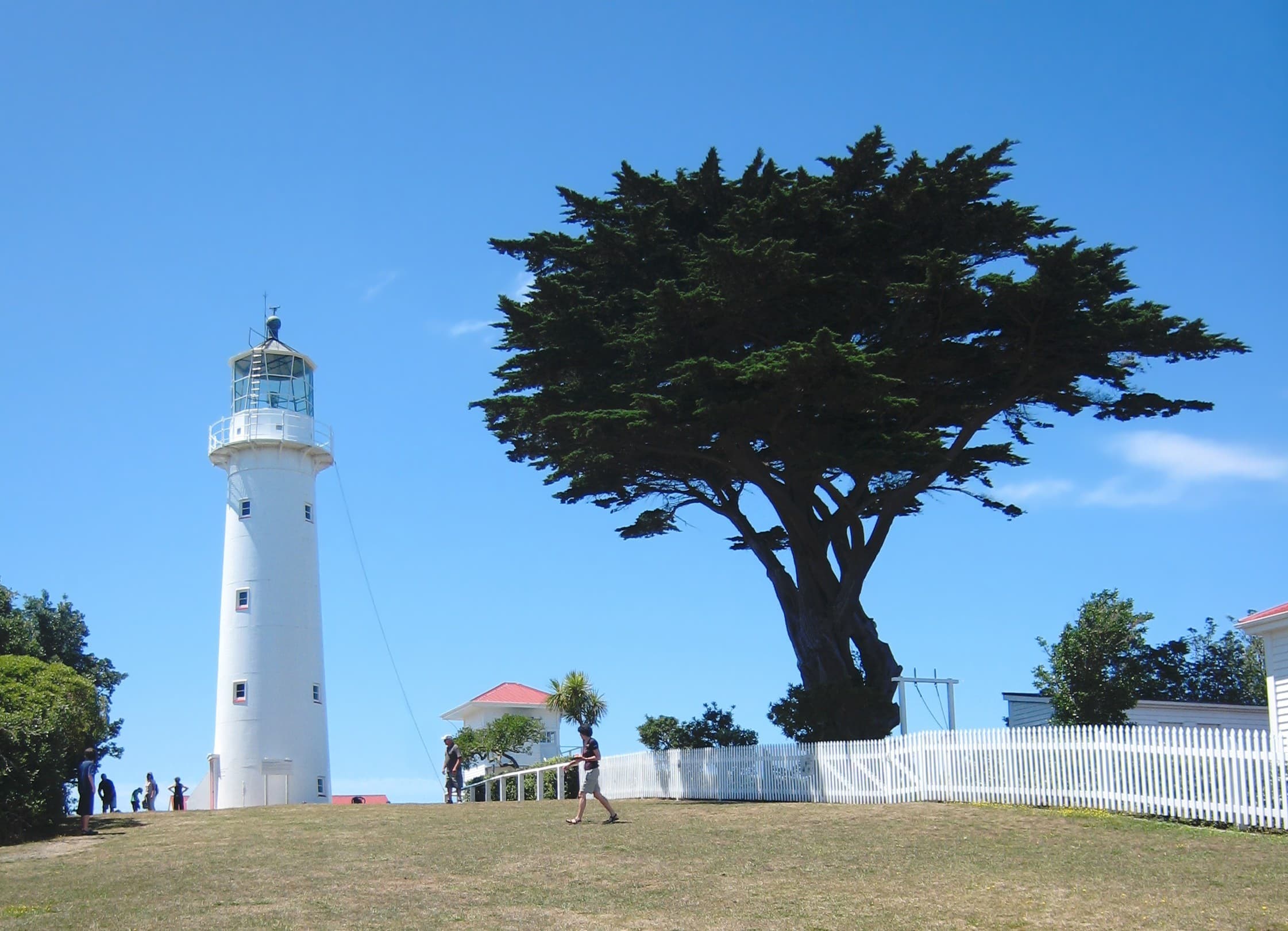 Tiritiri Matangi Island bunkhouse