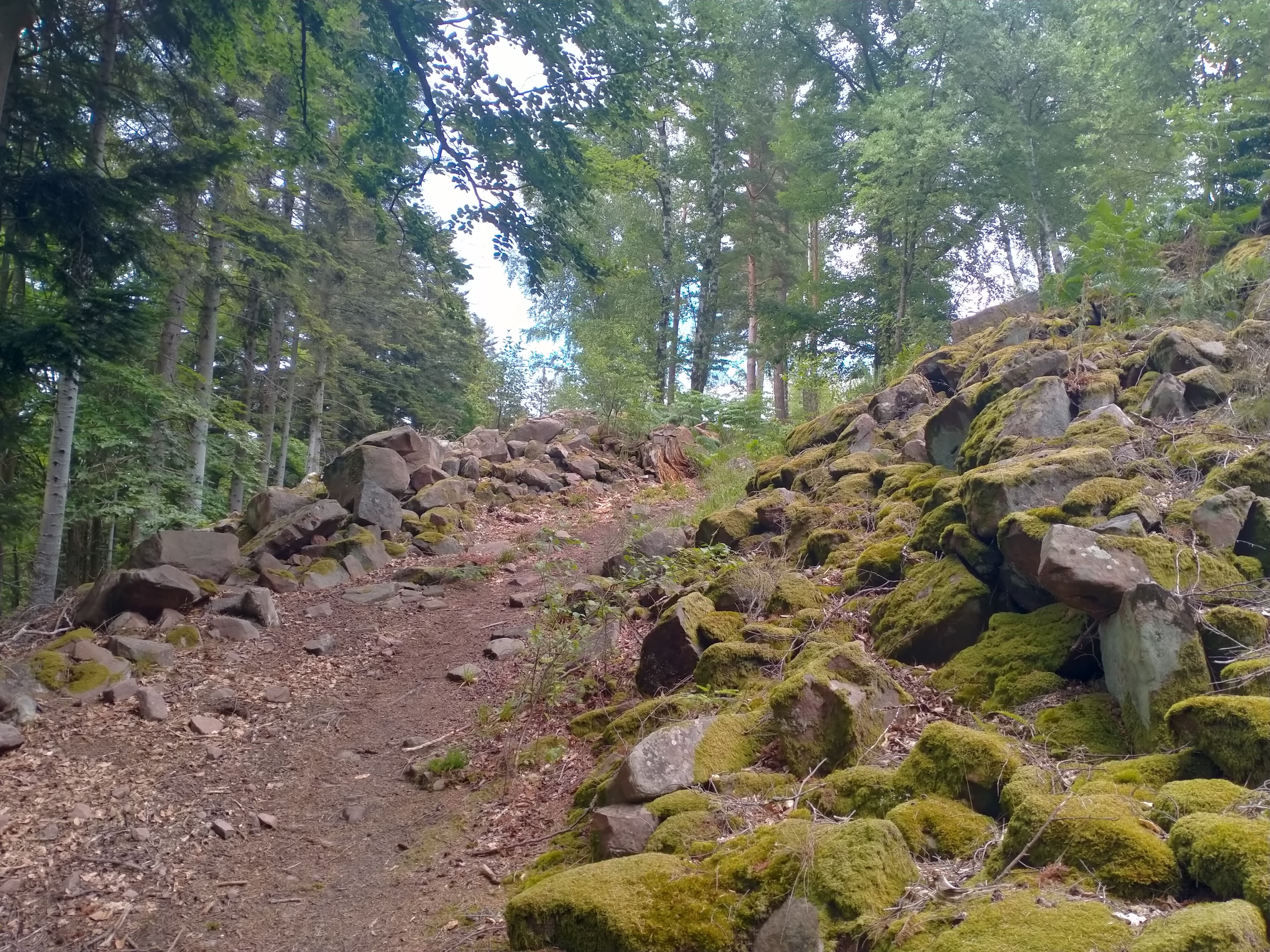 Abri du Purpurkopf